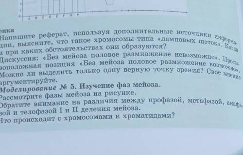 А) 1. Рассмотрите фазы мейоза на рисунке. 2. Обратите внимание на различия между профазой, метафазой