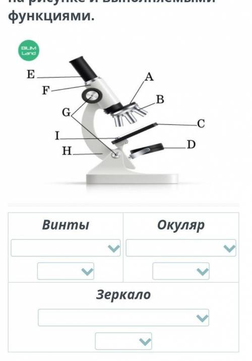 Микроскопические исследования живых организмов Соотнеси названия частей микроскопа с обозначениями н