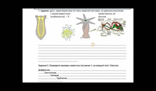 Дать характеристику по типу нервной системы по данным рисункам свтйственно им 2 задание обязательноБ