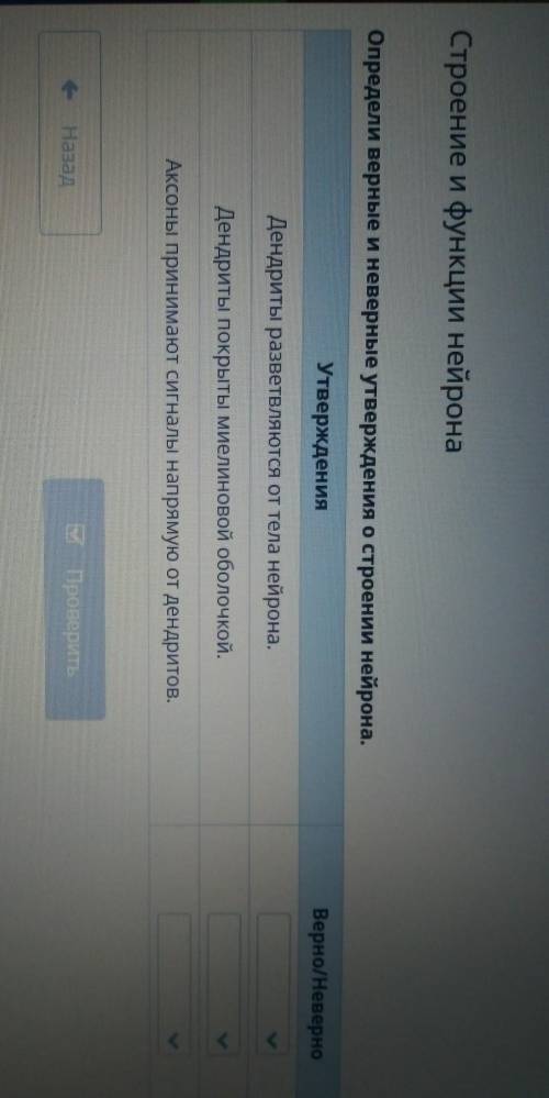 Строение и функции нейрона Определи верные и неверные утверждения о строении нейрона.УтвержденияВерн
