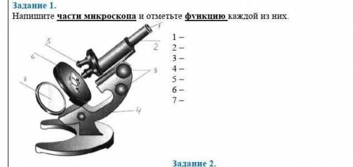 Напишите части микрофона и отметьте функции каждой из них токо правильно ​