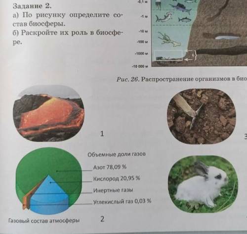 Задание 2.а) По рисунку определите со-став биосферы.б) Раскройте их роль в биосфере.​