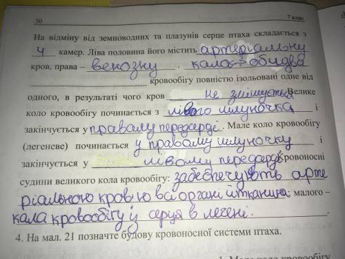 ПТАХИ, ССАВЦІ Мале коло кровообігу. Рух … крові починається з … Кров потрапляє у капіляри… Там відбу