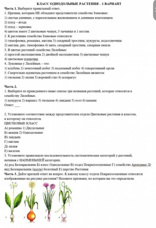 КЛАСС ОДНОДОЛЬНЫЕ РАСТЕНИЯ – 1 ВАРИАНТ буду очень благодарна ☘ ​