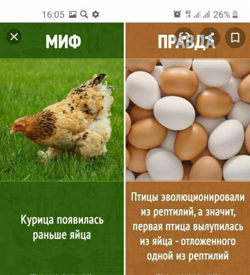 Что появилось раньше курица или яйцо:-\​