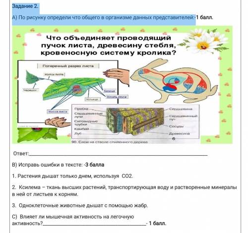 Задание 2. А) По рисунку определи что общего в организме данных представителей:- СО ВСЕМИ ЭТИМИ ЗАДА