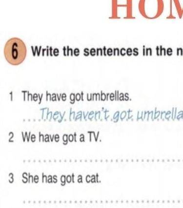 6 Write the sentences in the negative. 1 They have got umbrellas ... They. haven't got umbrellas...