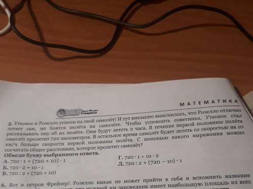 Утконос розелла успели на свой самолёт этот недавно выяснил что раздела отлично летает сам Но боится