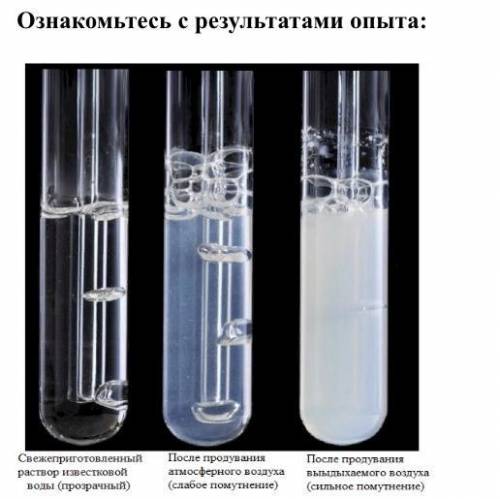 Прочитайте информацию. Определение углекислого газа проводится по помутнению известковой воды с цель