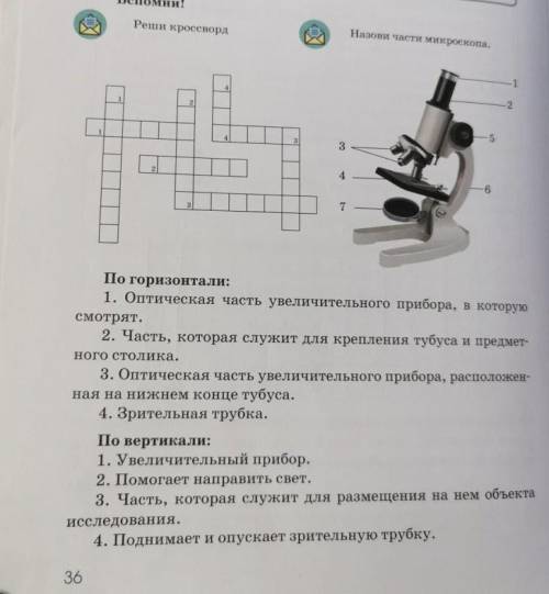 решить кроссворд, заранее Это Естествознание и тут потому что не нашёл)