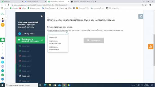 Вставь пропущенное слово. Совокупность нейронов, соединяющих головной и спинной мозг с мышцами, назы