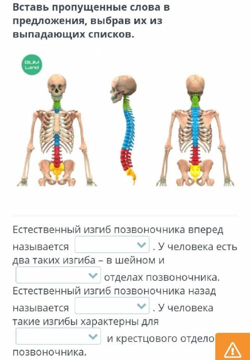 Биомеханические особенности движения человека в связи с прямохождением Вставь пропущенные слова в пр