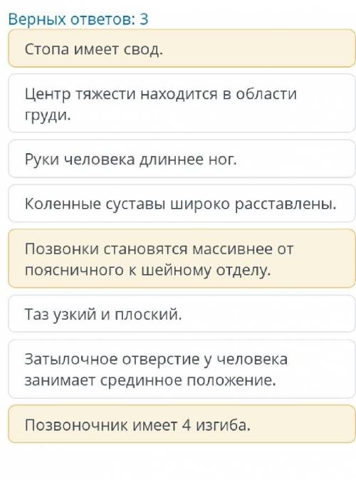 Биомеханические особенности движения человека в связи с прямохождением Выбери верные утверждения об