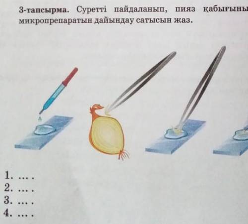 3 - тапсырма . Суретті пайдаланып , пияз қабығының жасушасы микропрепаратын дайындау сатысын жаз