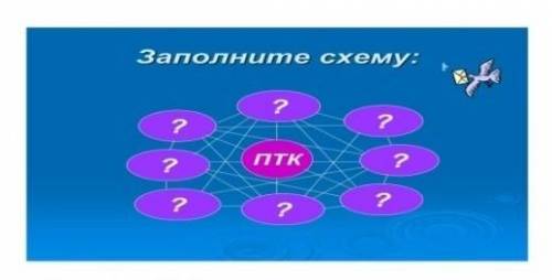 Заполнение схему птк​