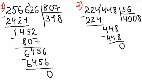 256 626 : 807, 224 448:56 столбиком​