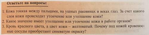 с тремя вопросами. ответы должны быть полными. Очень нужно