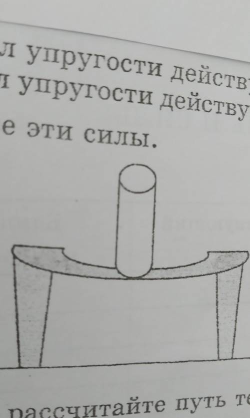 Сколько сил упругости действует на тело? Сколько сил упругости действует на опору?изобразите все эти