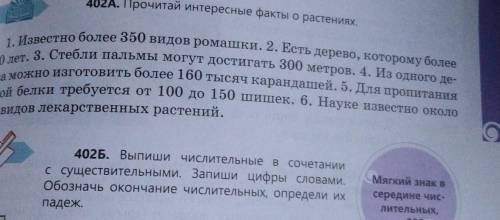 402 известно более 350 видов ромашки точка второе есть дерево которому более 400 лет 3 стебли пальмы