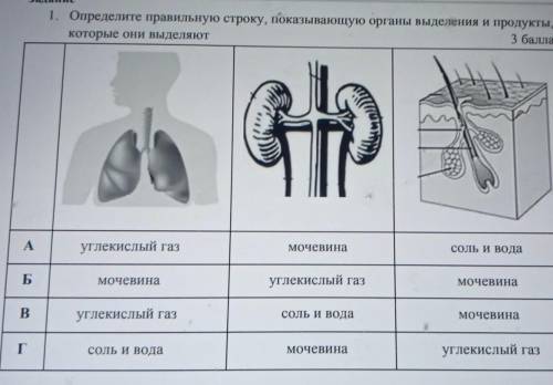 1. Определите правильную строку, показывающую органы выделения и продукты, которые они выделяютуглек