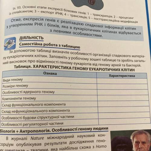 За до таблиці визначте особливості організації спадкового матеріа- лу еукаріотичних клітин. Заповніт