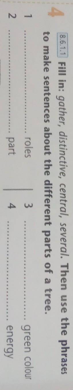 8.6.1.1 Fill in: gather, distinctive, central, several. Then use the phrases to make sentences about