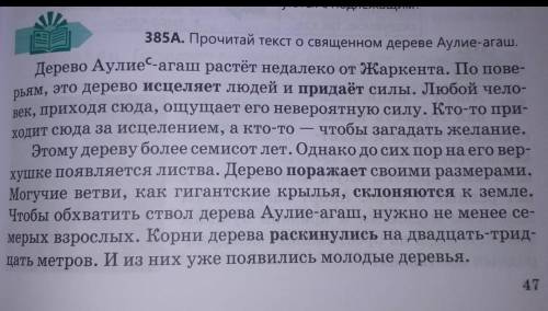 Выпишите только грамматические основы предложений Дерево растет; дерево растет и исцеляет;….продолжи