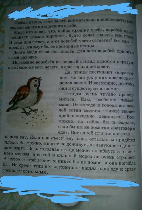 Изложение с планом. Дмитриев любая птица, если за ней внимательно понаблюдать расскажет много интере