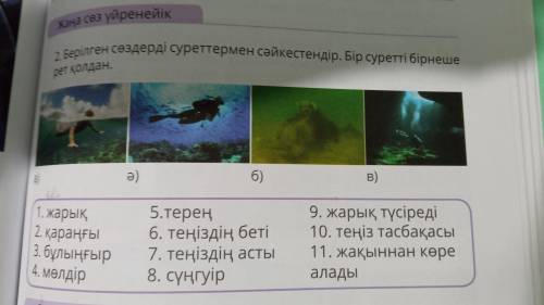 Берілген сөздерді суреттермен сәйкестендір. Бір суретті бірнеше рет қолдан. Паомагите