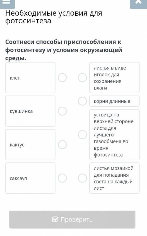 Необходимые условия для фотосинтеза​