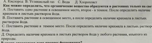 Какой газ образуется в результате фотосинтеза? А) Кислород В) Углекислый газ С)Вода Д) ХлоропластНап