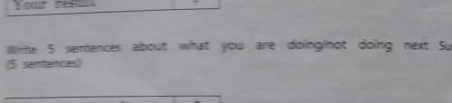 написать пять предложений о том что это будешь делать и не делать по следующую воскресенье на англий