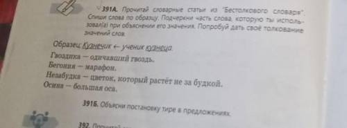 391Б. Объясни постановку тире в предложениях. РОЧНО РОЧНО И НОМЕР 391А