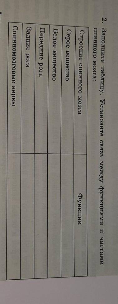 2. Заполните таблицу. Установите связь между функциями и частями спинного мозга:Строение спинного мо