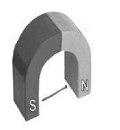 Между полюсами подковообразного магнита лежит стальной гвоздь. После намагничивания гвоздя у его шля