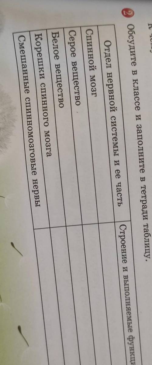 Обсудите в классе и заполните в тетради таблиц СтроенОтдел нервной системы и ее частьСпинной мозгСер