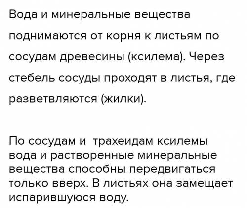 Каким образом питательные вещества передвигаются по тканям растительного организма?​