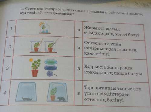 2. Сурет пен тәжірибе сипаттамасы арасындағы сәйкестікті анықта,бұл тәжірибе нені дәлелдейді?​