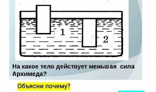 На какое тело действует меньше сила АрхимедаФизика 7 класс​