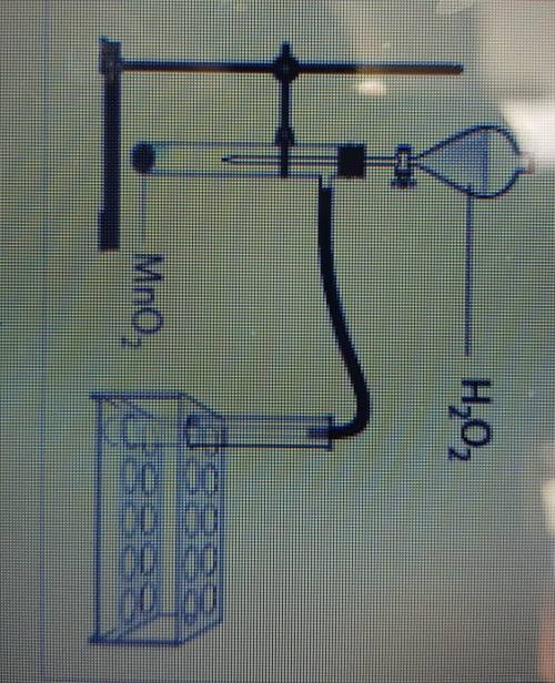 Кислород в лаборатории можно получить из различных соединений. Рассмотририсунок прибора и выполни за