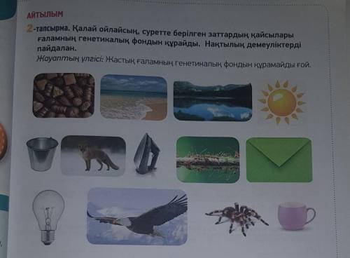 2 тапсырма. Қалай ойлайсын суретте берілген заттардың қайсылары ғаламның генетикалық фондан құрайды.