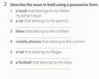 Describe the noun ib bold using a possesive form