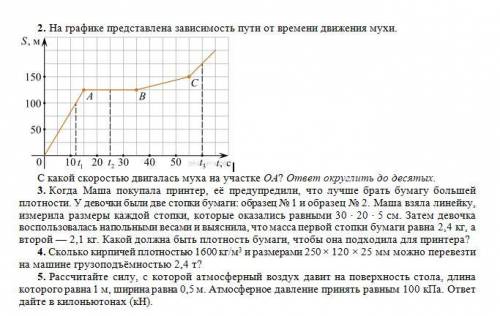 2. На картинке представлена зависимость пути от времени движения мухи. С какой скоростью двигалась м