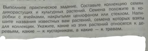 выполните практическое задание составьте коллекцию семян дикорастущих и культурных растений. Семена