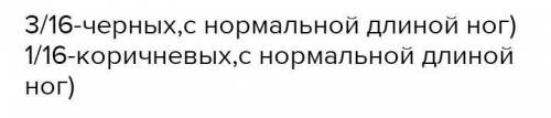 У собак черная окраска шерсти доминирует над коричневой, а коротконогость – над нормальной длиной но