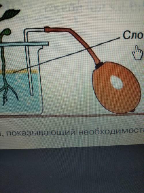 Как называется эта штука? С нее поставляется воздух