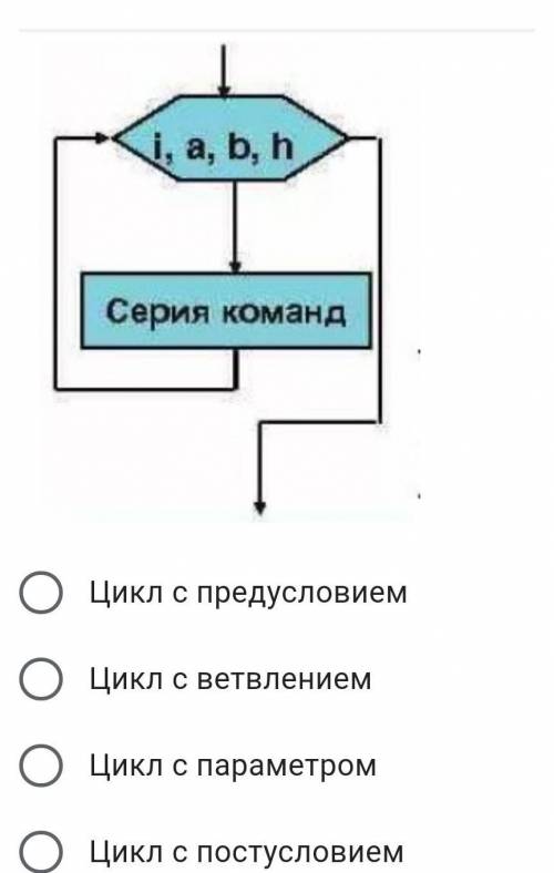 Какой цикл изображен на блок-схеме? *​