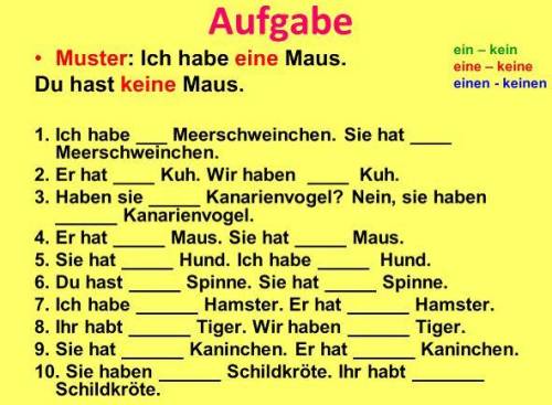 Немецкий-5 класс В 1 предложение вставить неопределенный артикль, во 2 отрицание kein в правильной ф