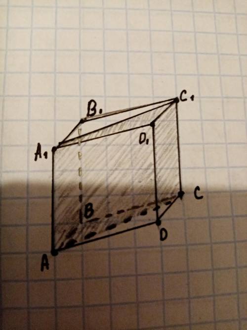 ABCDA1B1C1D1- куб, АВ=3. Найдите Sa c c1 a1