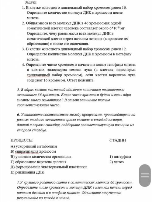 1. В клетке животного диплоидный набор хромосом равен 16. Определите количество молекул ДНК и хромос